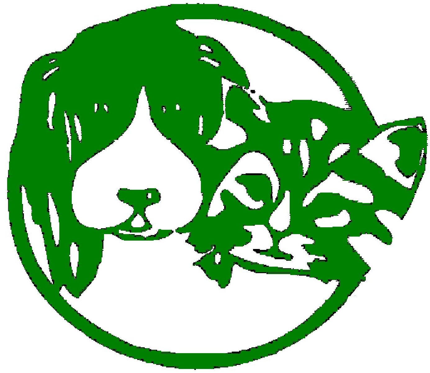 Centro Veterinario SAN FRANCISCO